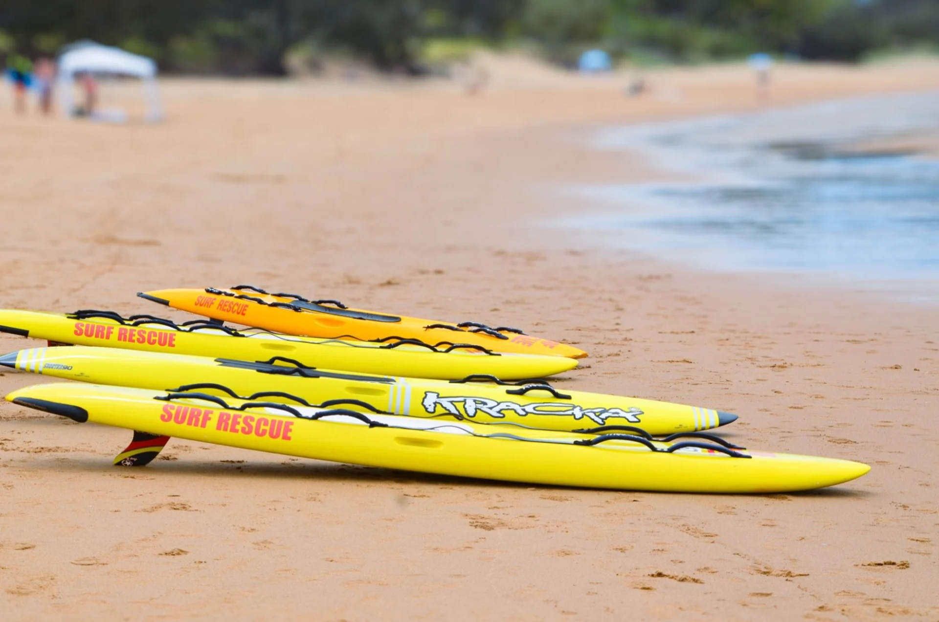 agnes water surf life saving club #15